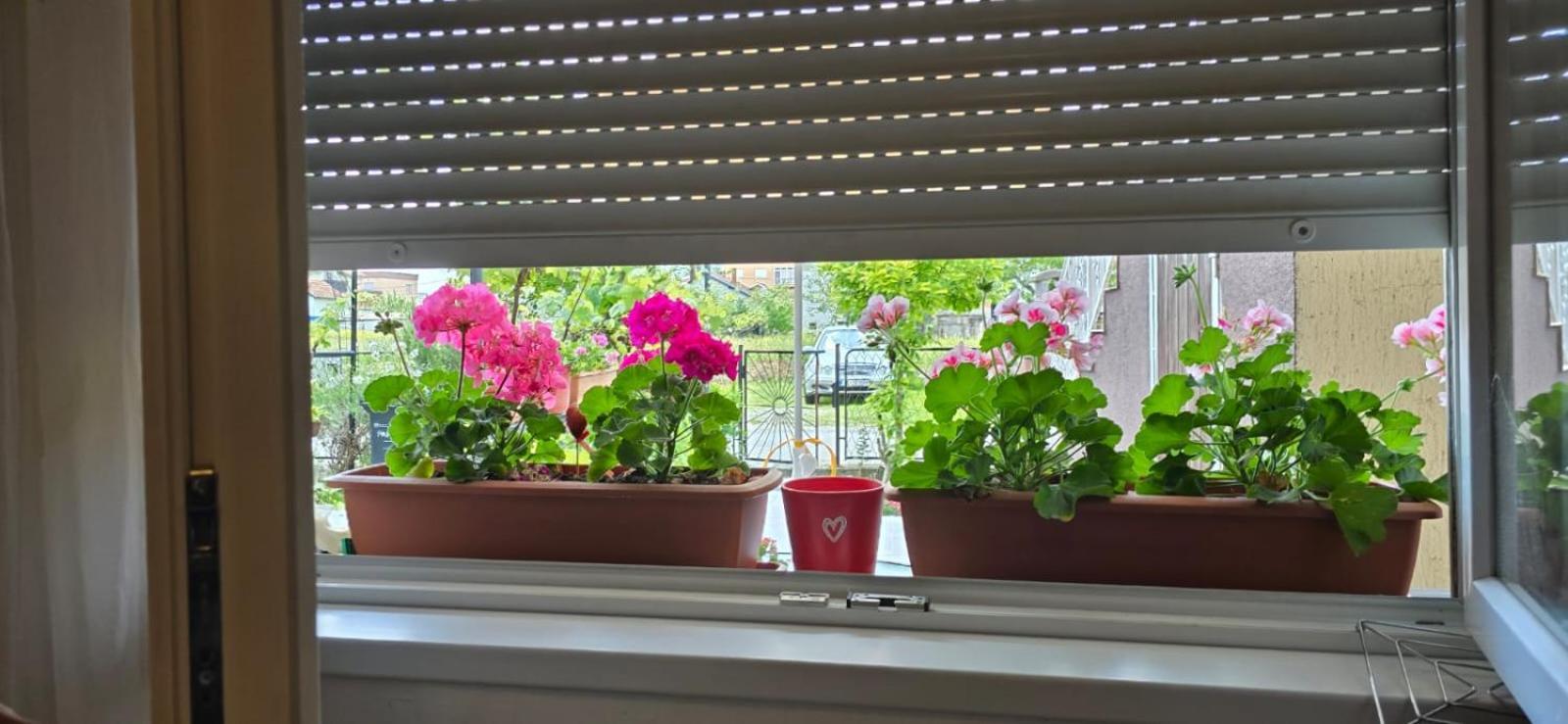 Apartman Tina Záhřeb Exteriér fotografie